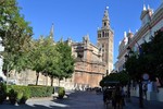 Sevilla-Terrace Giralda tower